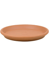 Terra Cotta - Saucer