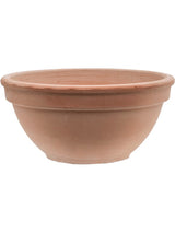 Terra Cotta - Bowl Antiques