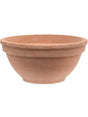 Terra Cotta - Bowl Antiques