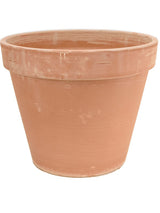 Terra Cotta - Flowerpot Antiques