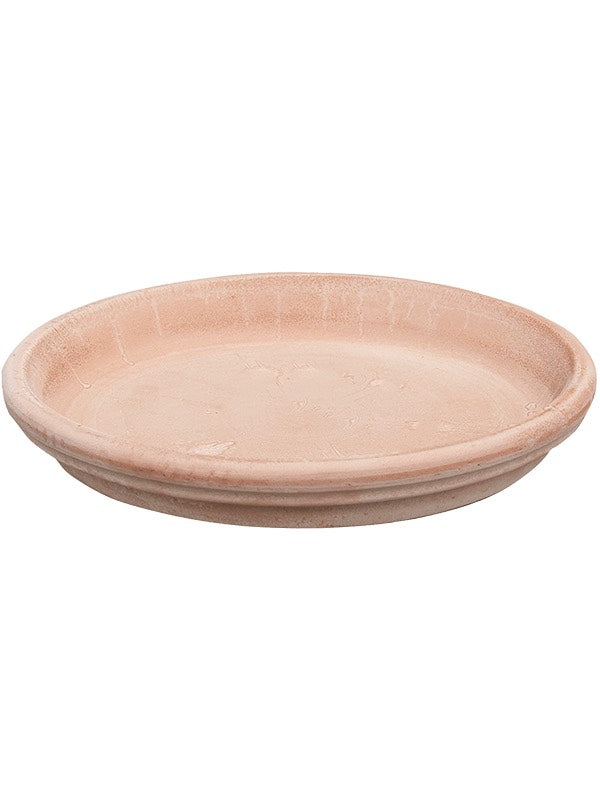 Terra Cotta - Saucer Antiques