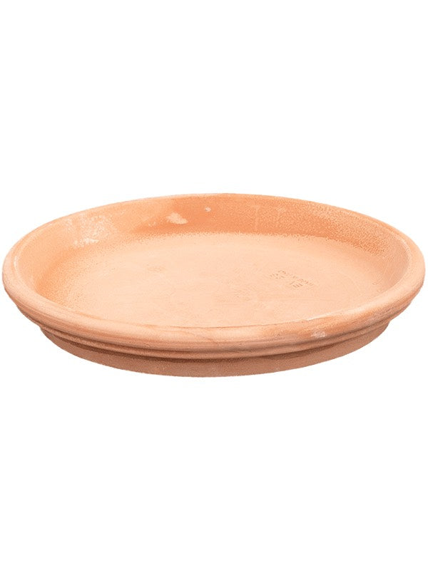 Terra Cotta - Saucer Antiques