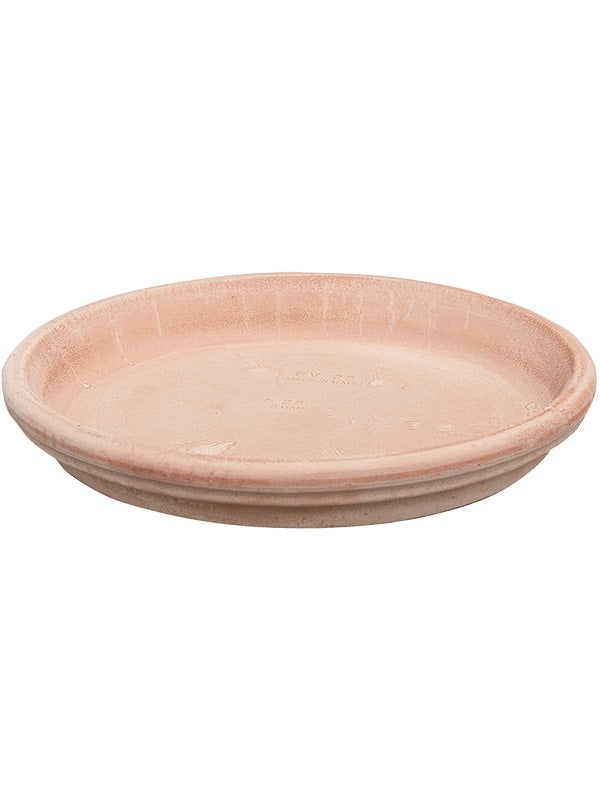 Terra Cotta - Saucer Antiques