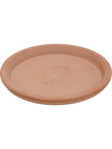 Terra Cotta - Saucer Antiques