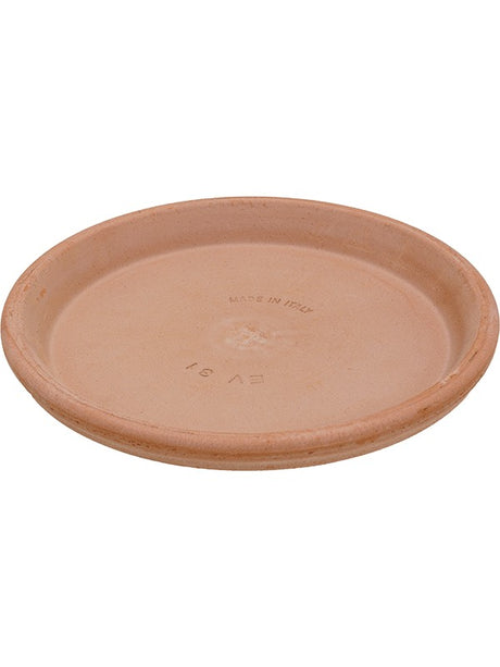 Terra Cotta - Saucer Antiques