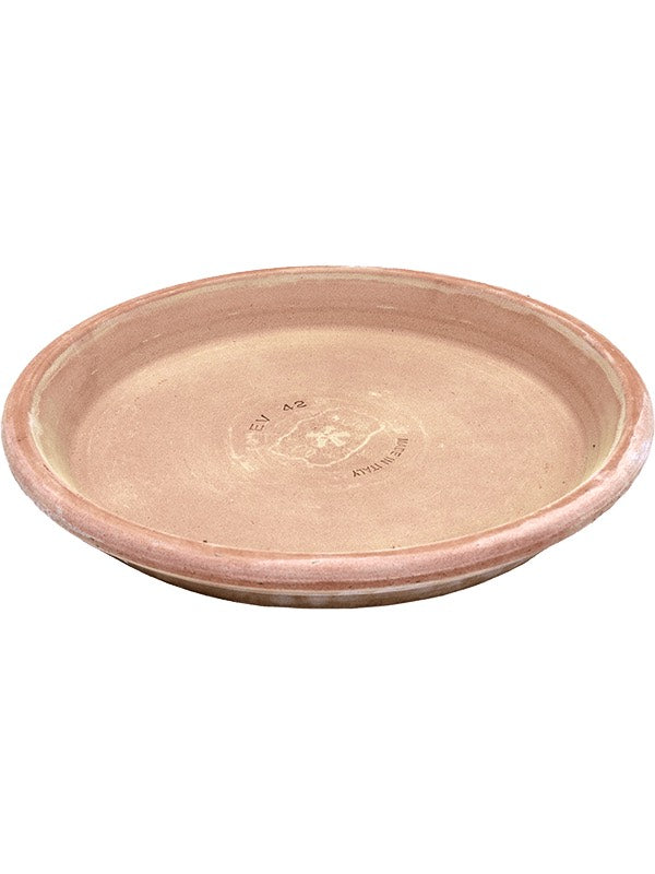 Terra Cotta - Saucer Antiques