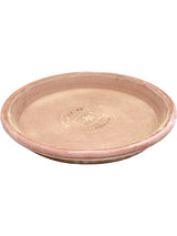 Terra Cotta - Saucer Antiques