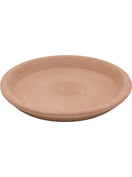 Terra Cotta - Saucer Antiques