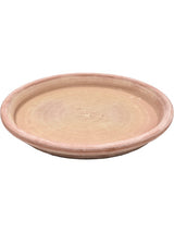 Terra Cotta - Saucer Antiques